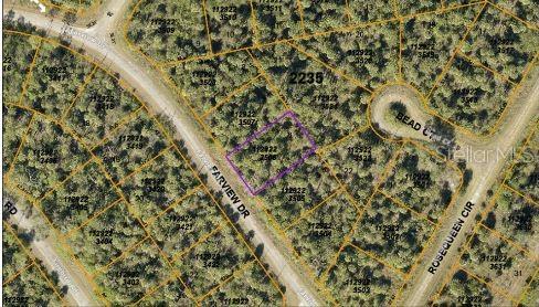 FARVIEW DR, NORTH PORT, FL, 34288