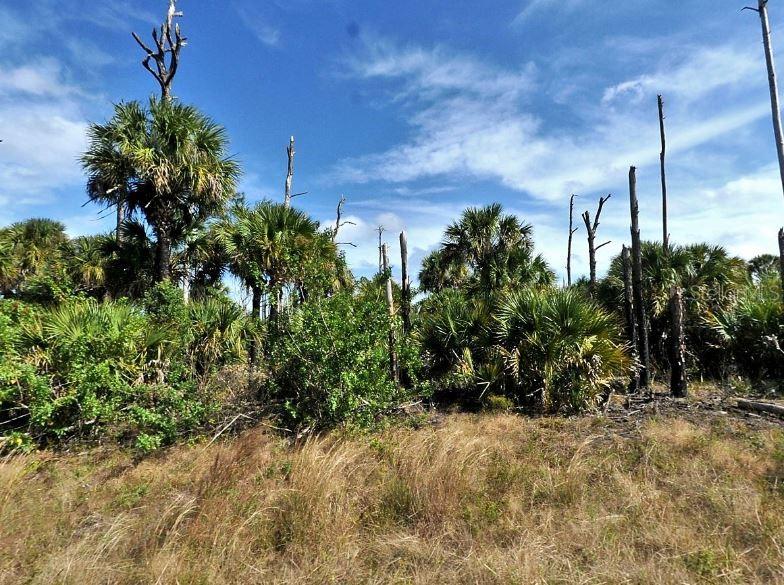 FARVIEW DR, NORTH PORT, FL, 34288