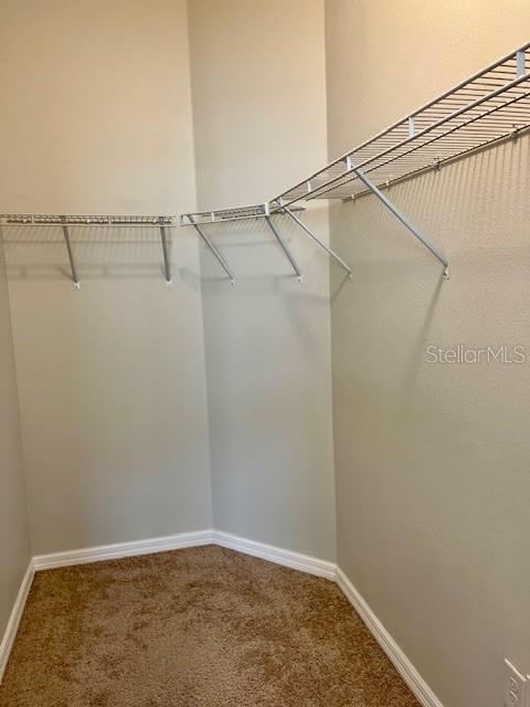 7690 TIMBERVIEW LOOP, WESLEY CHAPEL, FL, 33545