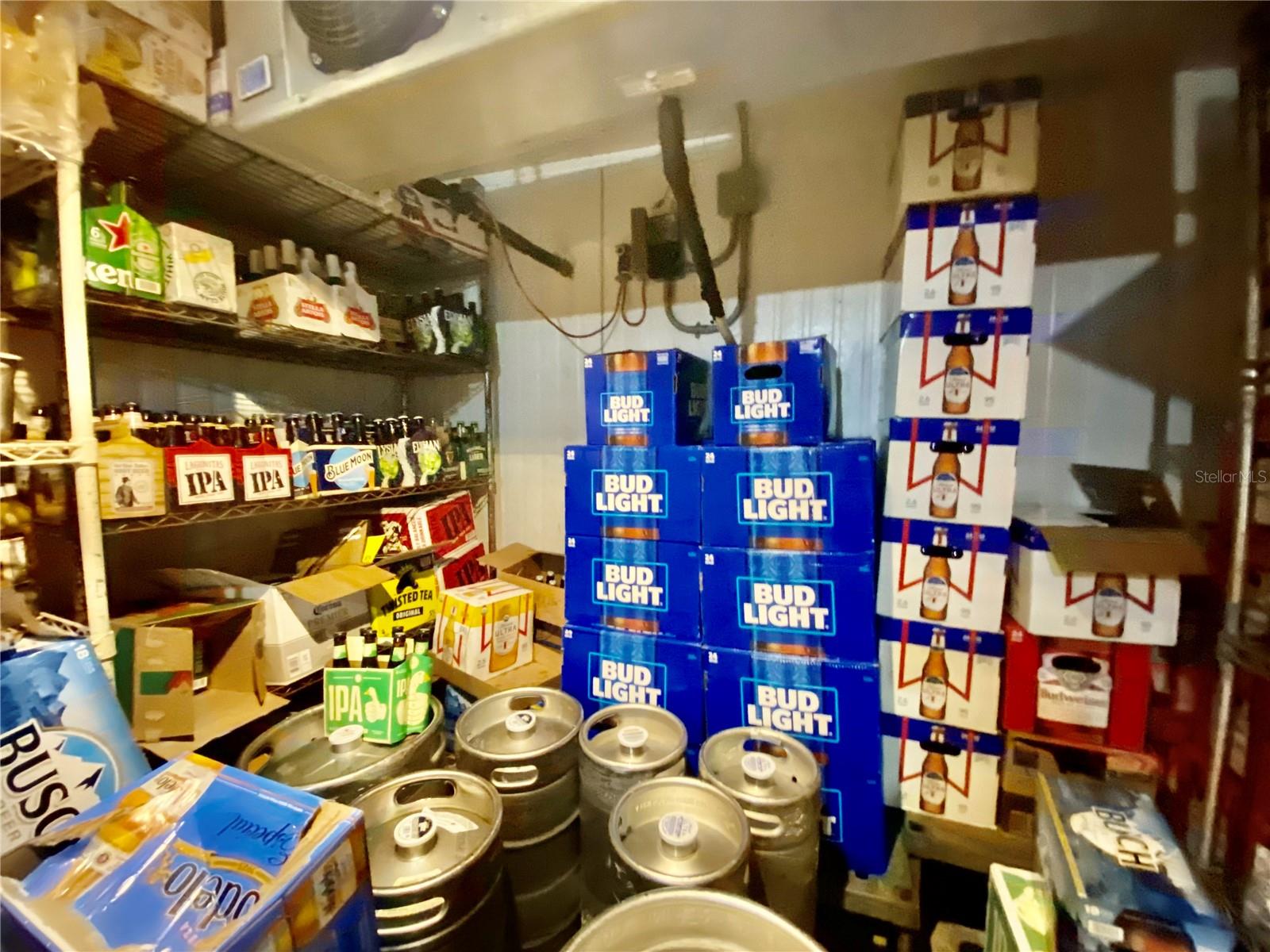 23525 STATE ROAD 40, ASTOR, FL, 32102