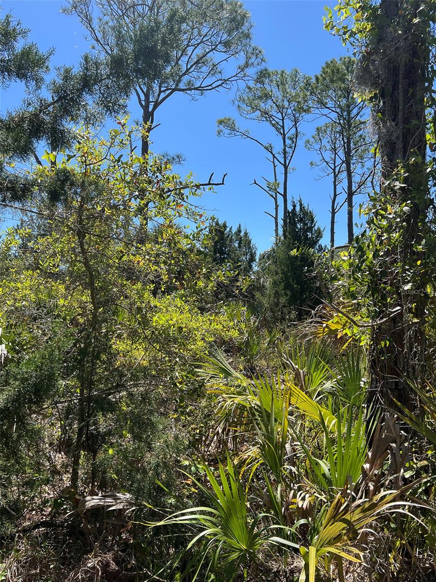 RYE KEY, CEDAR KEY, FL, 32625