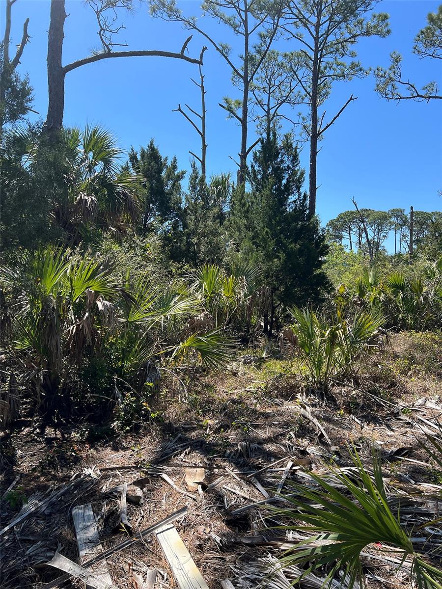 RYE KEY, CEDAR KEY, FL, 32625