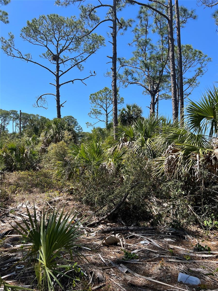 RYE KEY, CEDAR KEY, FL, 32625