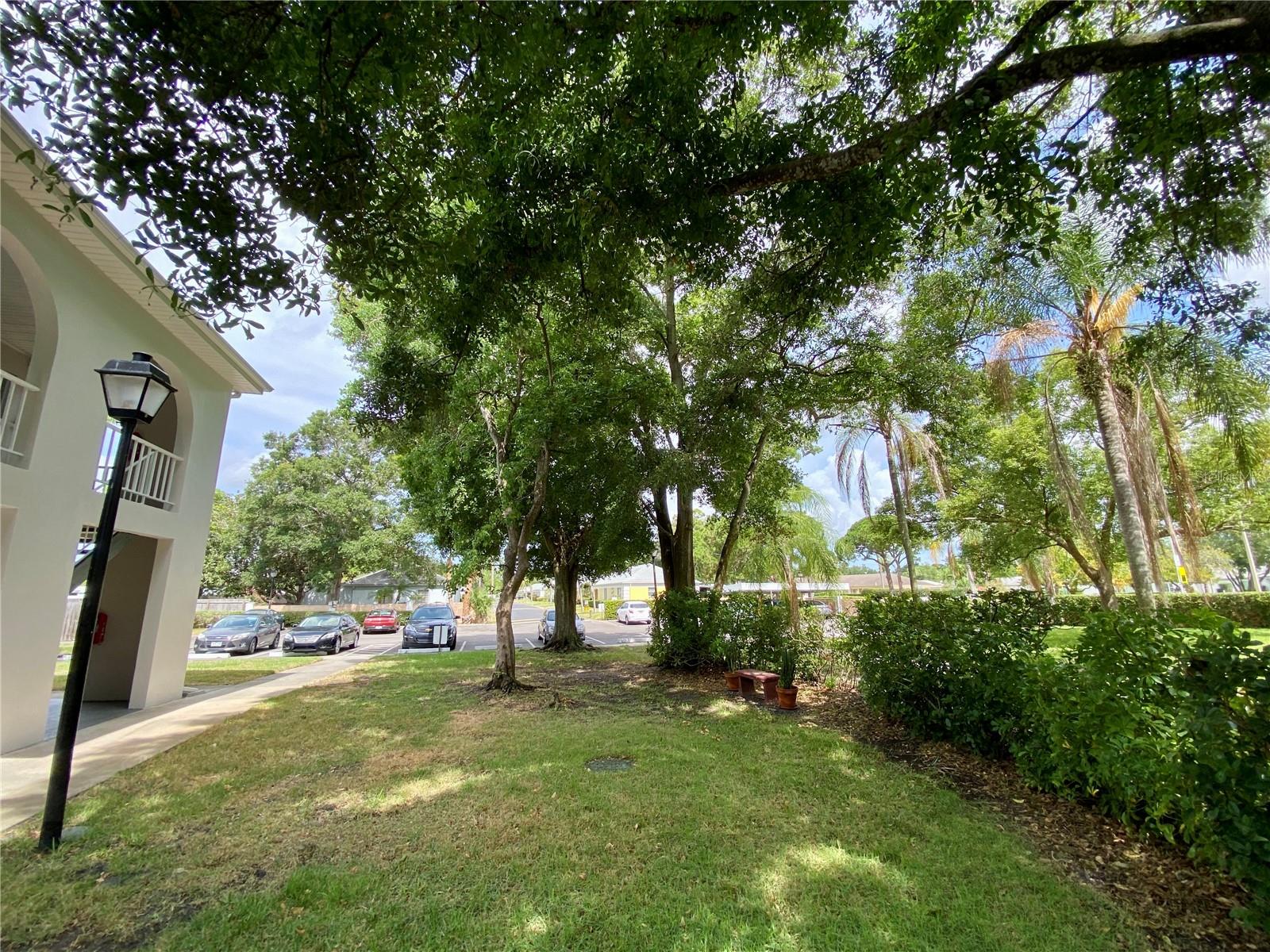 8304 BARDMOOR BLVD #17 (104), SEMINOLE, FL, 33777