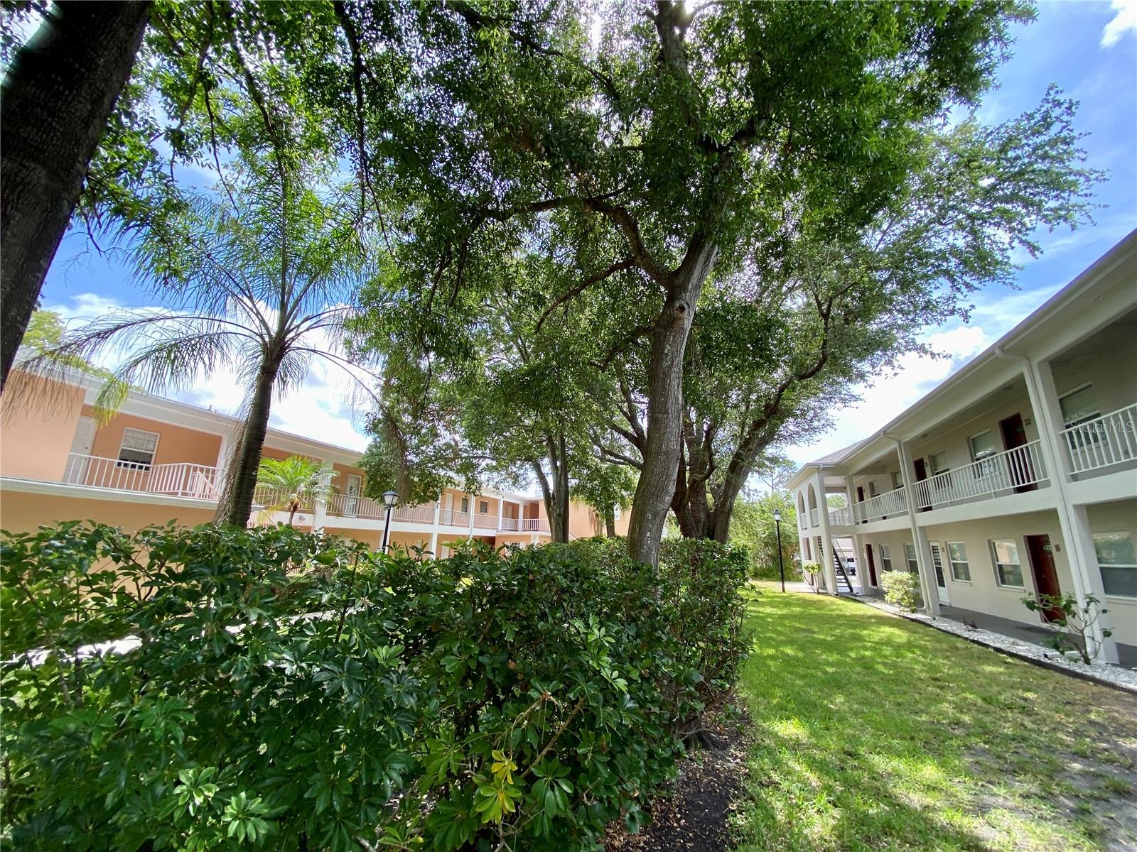 8304 BARDMOOR BLVD #17 (104), SEMINOLE, FL, 33777