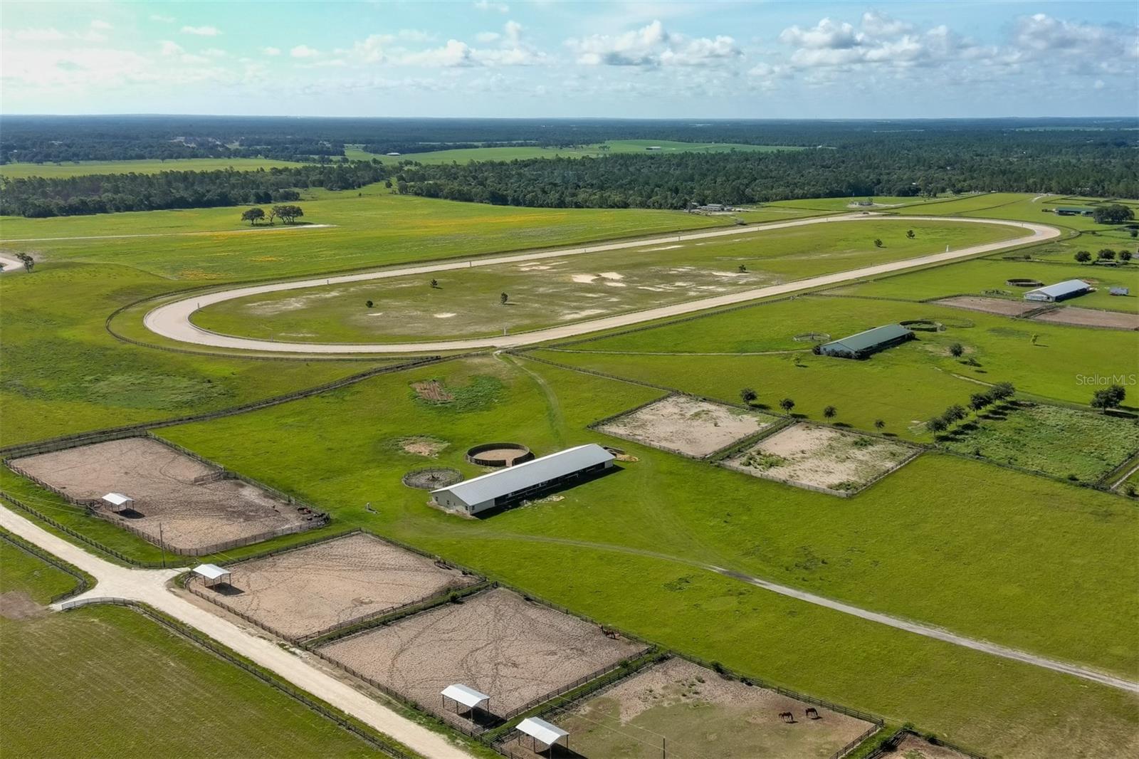 12451 NE 120 STREET, WILLISTON, FL, 32696