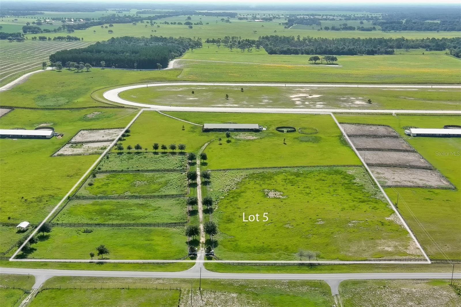 12451 NE 120 STREET, WILLISTON, FL, 32696