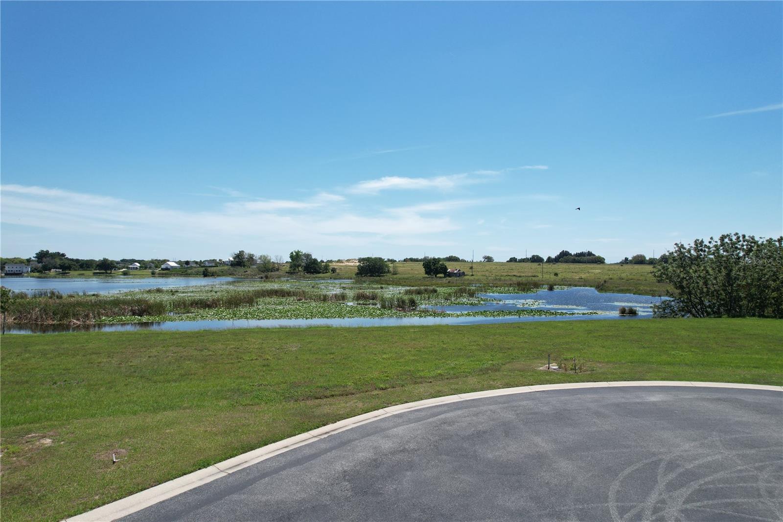 116 N CALADIUM AVE, LAKE ALFRED, FL, 33850