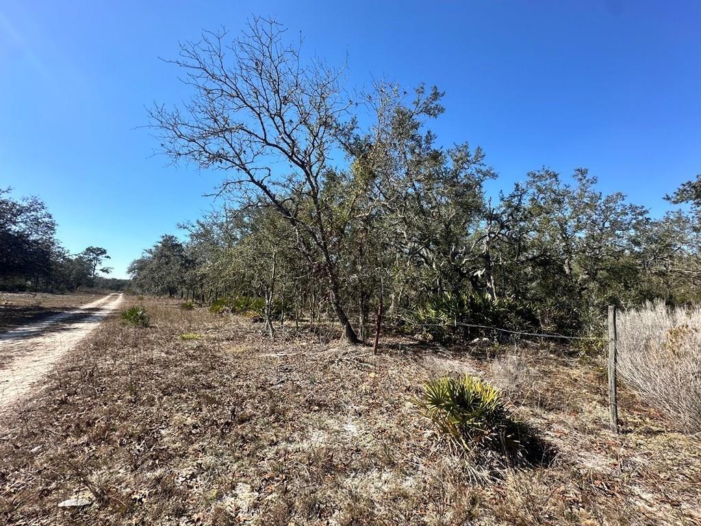 NE 69TH STREET, WILLISTON, FL, 32696