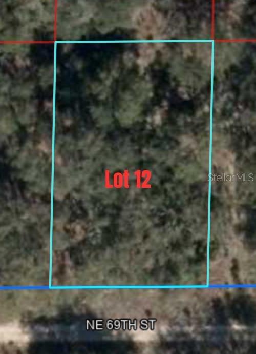 NE 69TH STREET, WILLISTON, FL, 32696