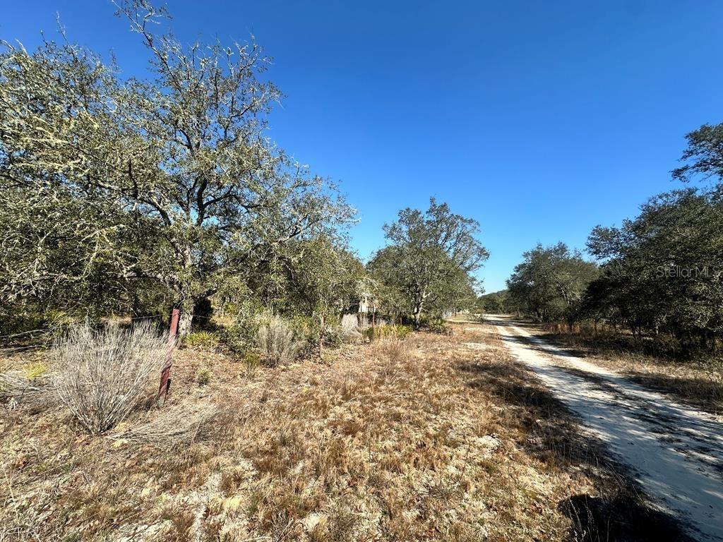 NE 69TH STREET, WILLISTON, FL, 32696