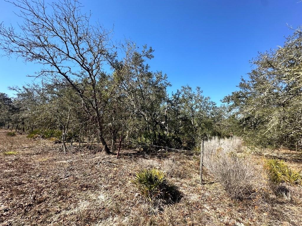 NE 69TH STREET, WILLISTON, FL, 32696