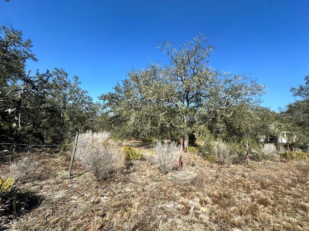 NE 69TH STREET, WILLISTON, FL, 32696