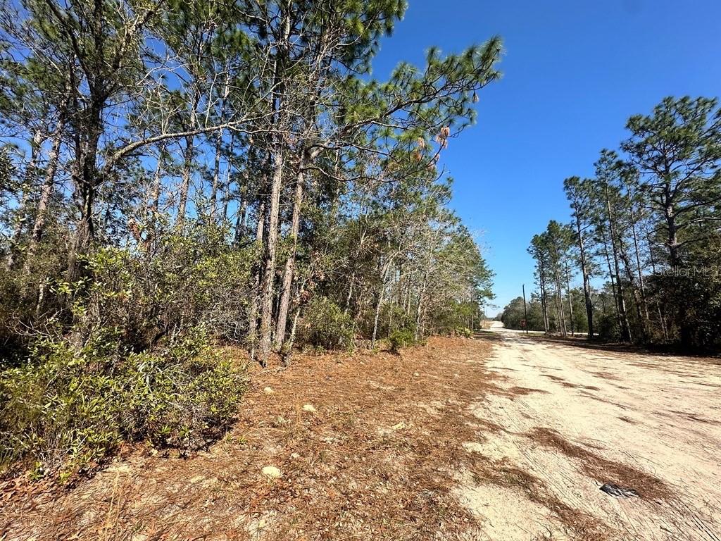 NE 66TH LANE, WILLISTON, FL, 32696