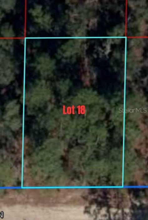 NE 66TH LANE, WILLISTON, FL, 32696
