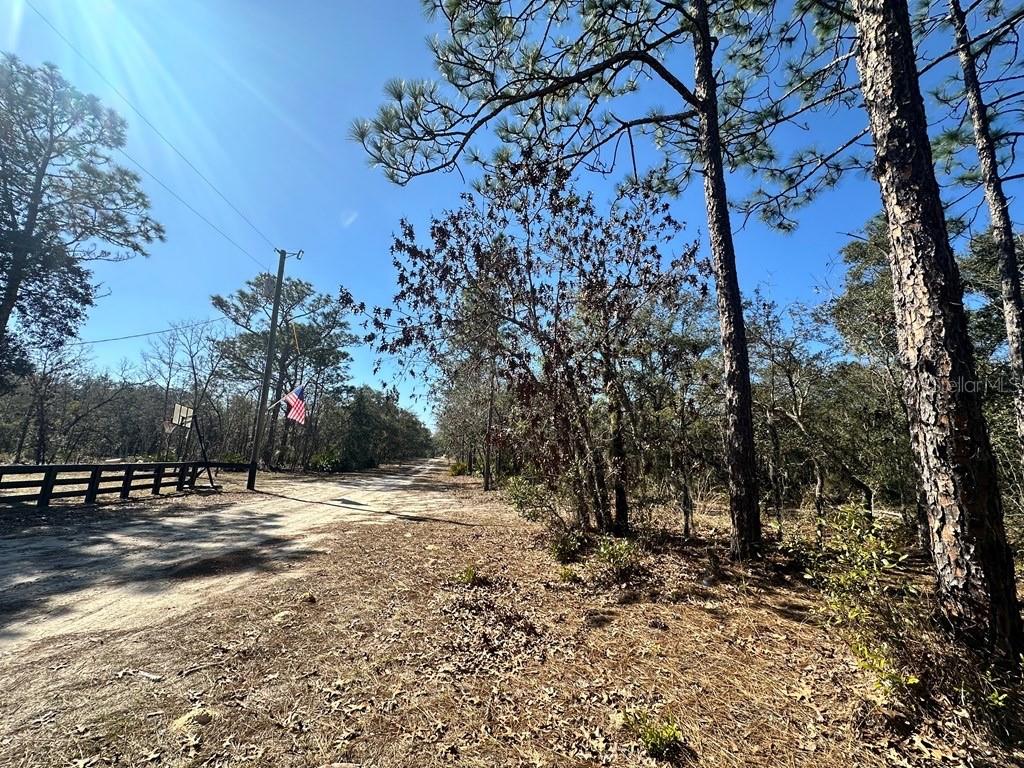 NE 66TH LANE, WILLISTON, FL, 32696