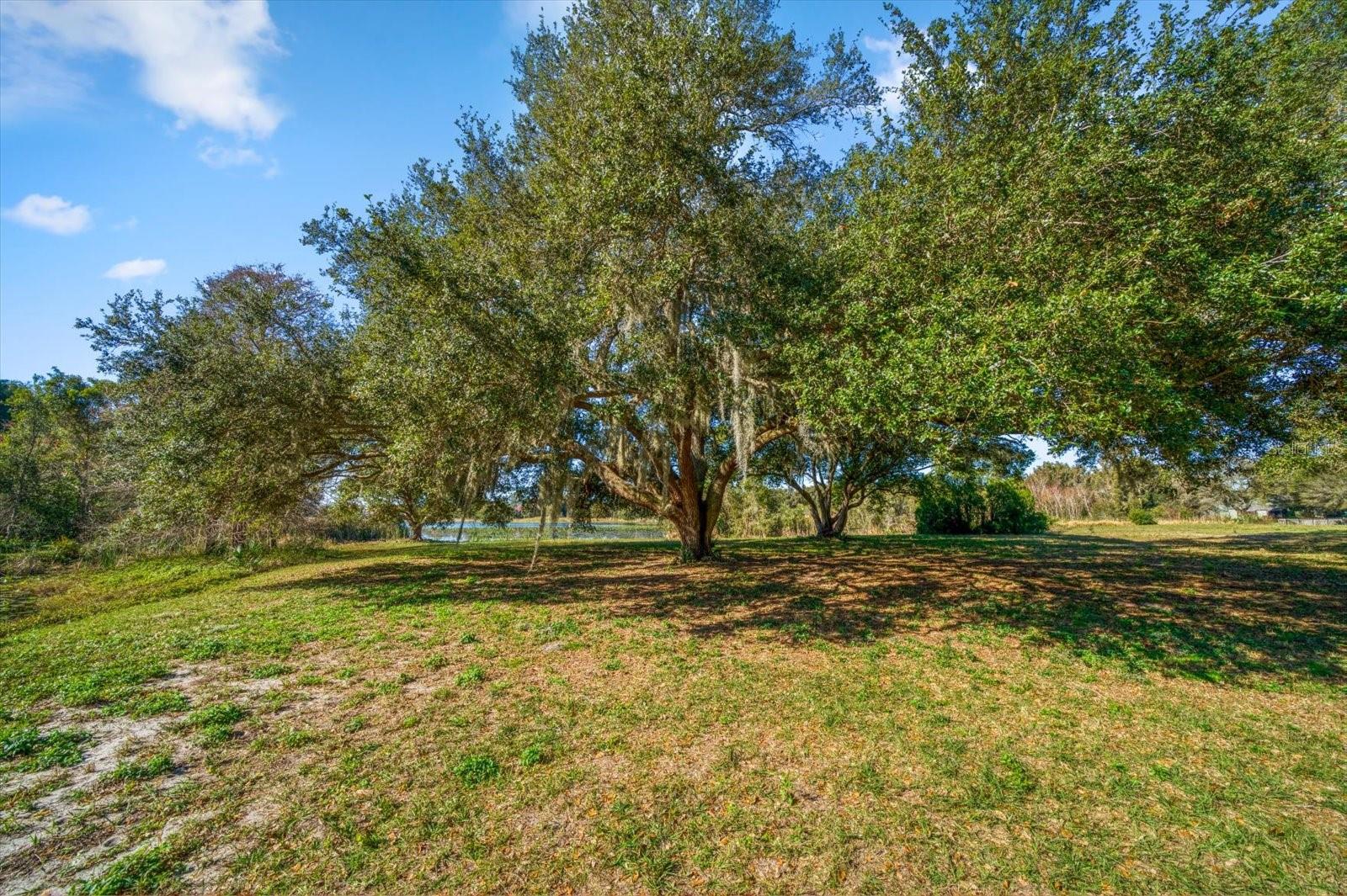 2850 SUNSTREAM LN, CLEARWATER, FL, 33759