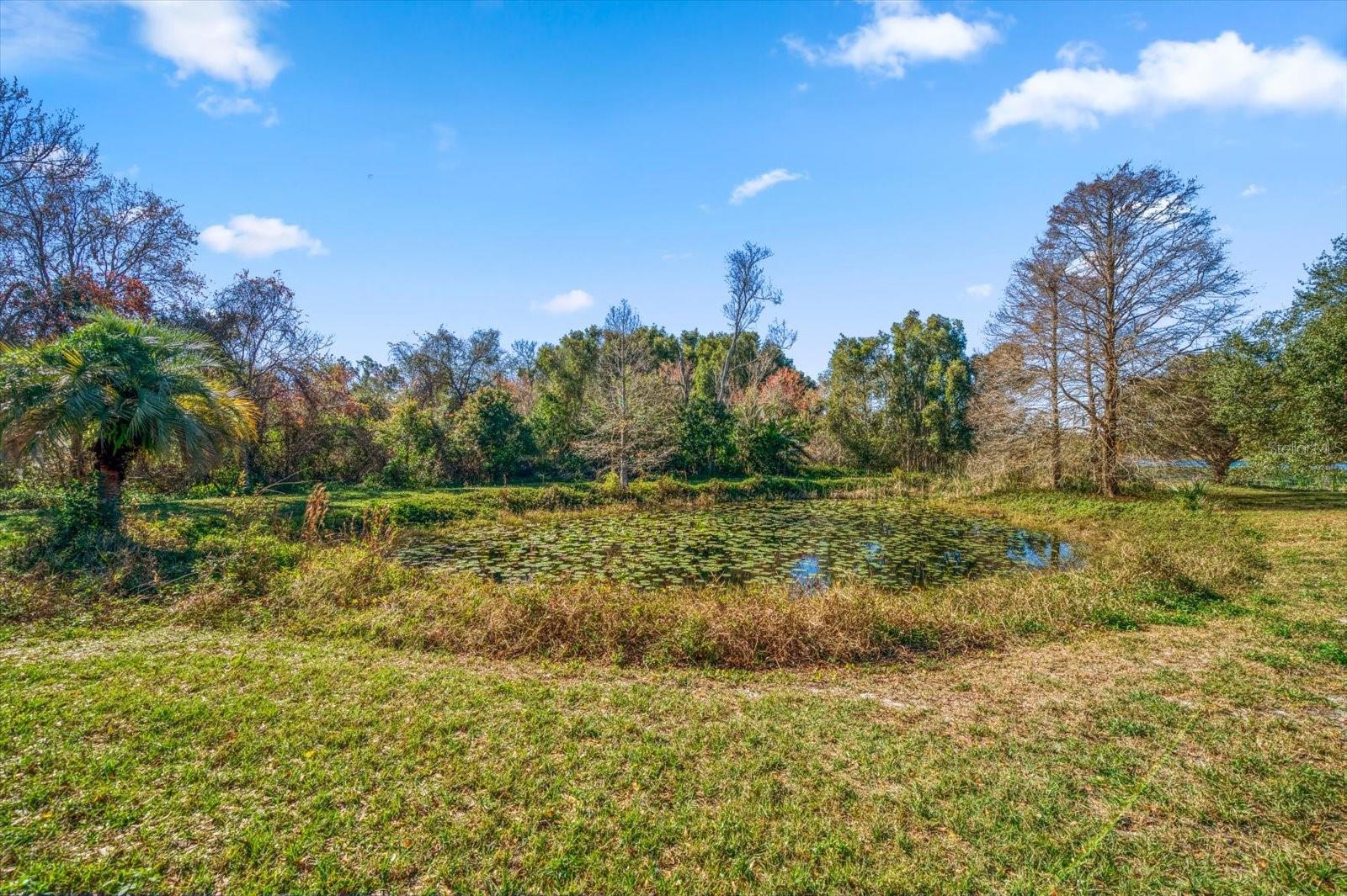 2850 SUNSTREAM LN, CLEARWATER, FL, 33759