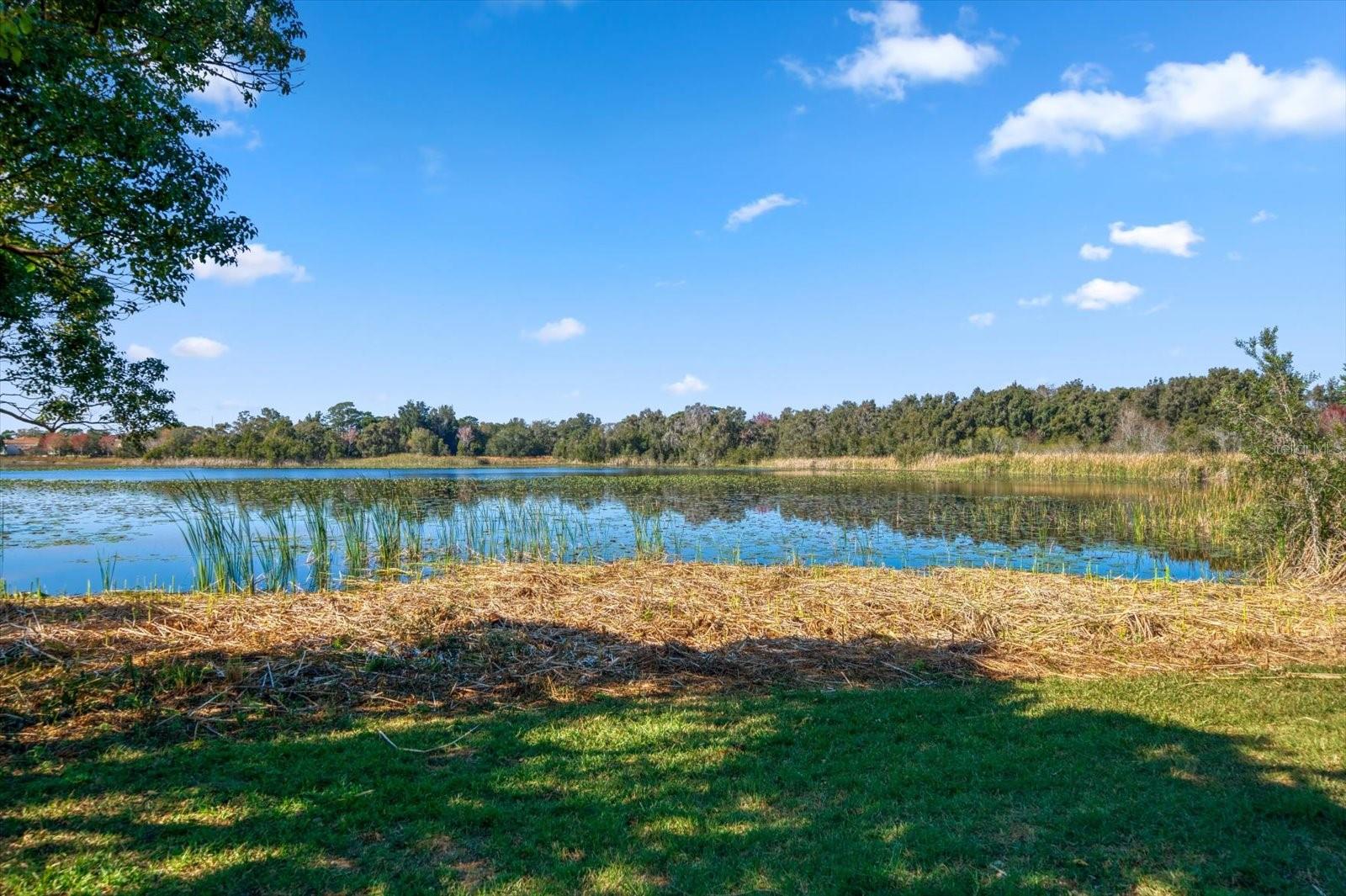 2850 SUNSTREAM LN, CLEARWATER, FL, 33759