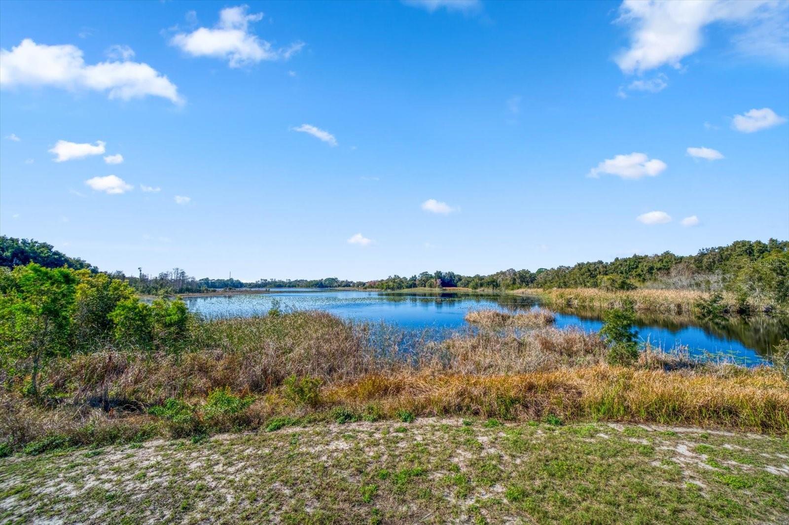 2850 SUNSTREAM LN, CLEARWATER, FL, 33759