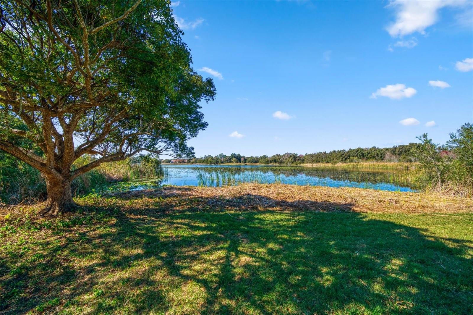 2850 SUNSTREAM LN, CLEARWATER, FL, 33759