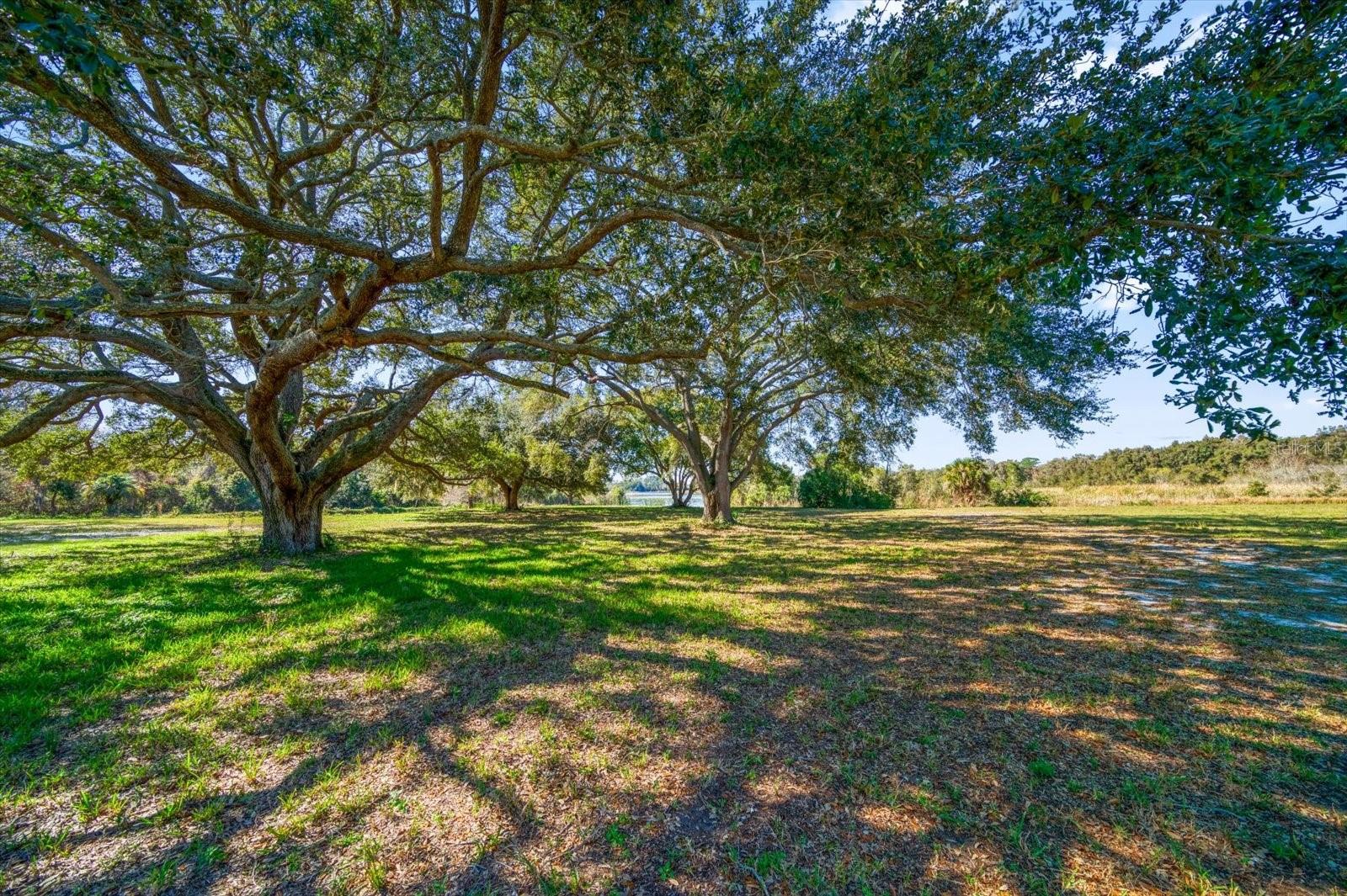 2850 SUNSTREAM LN, CLEARWATER, FL, 33759