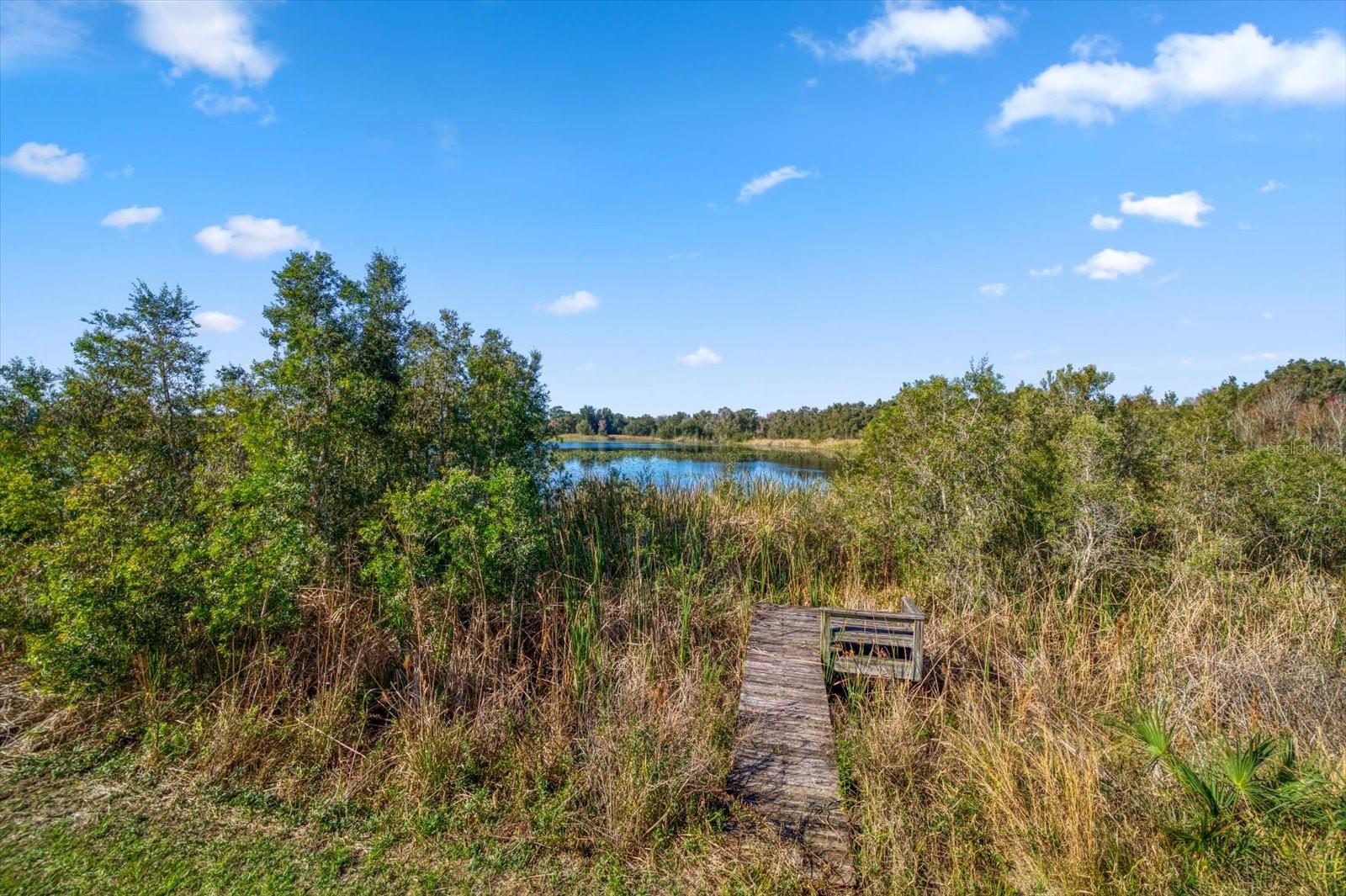 2850 SUNSTREAM LN, CLEARWATER, FL, 33759