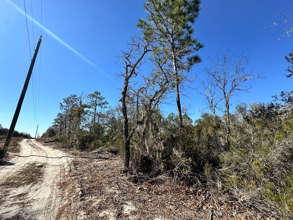 NE 63RD PLACE, WILLISTON, FL, 32696