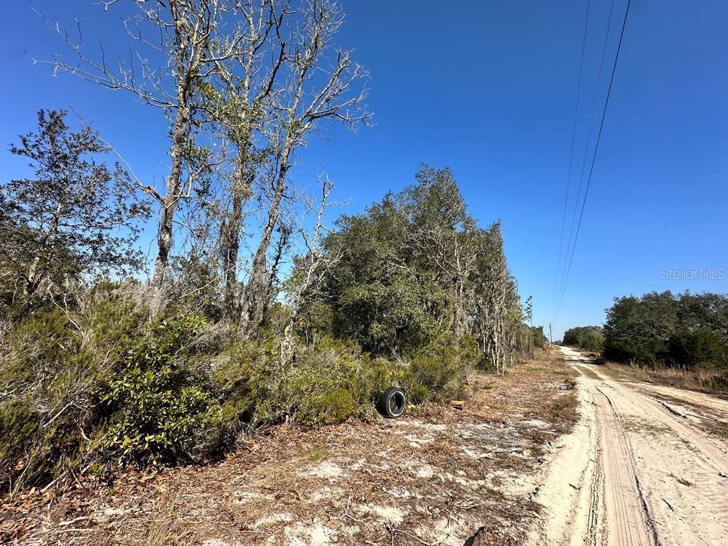 NE 63RD PLACE, WILLISTON, FL, 32696