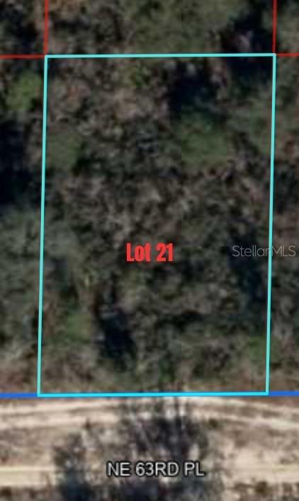 NE 63RD PLACE, WILLISTON, FL, 32696