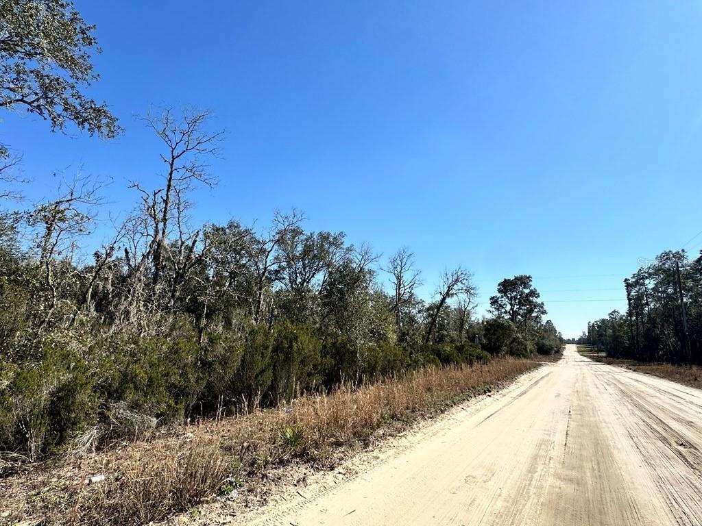 NE 67TH LANE, WILLISTON, FL, 32696