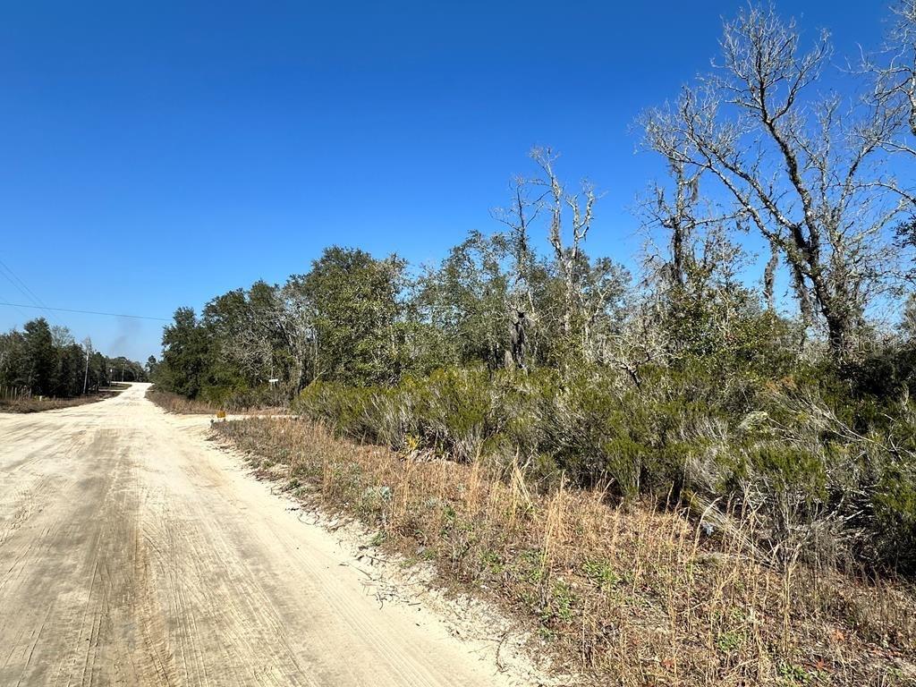 NE 67TH LANE, WILLISTON, FL, 32696
