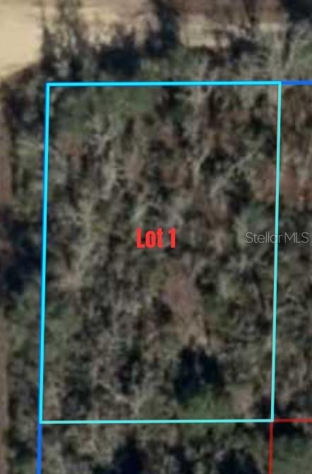NE 67TH LANE, WILLISTON, FL, 32696