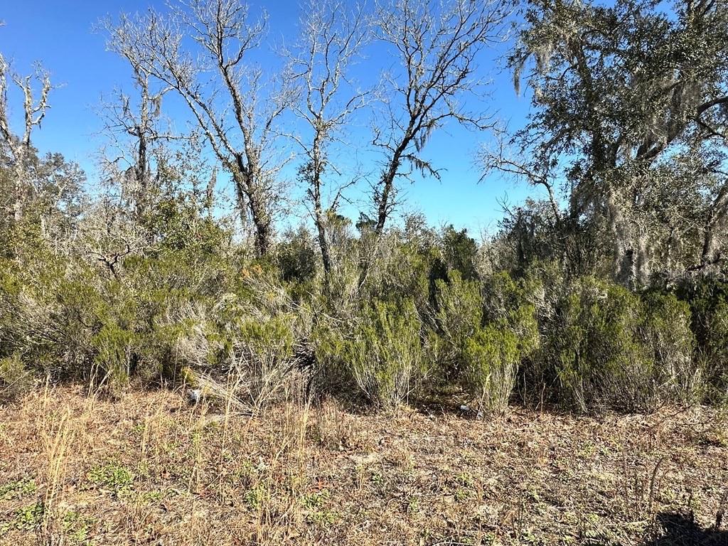 NE 67TH LANE, WILLISTON, FL, 32696