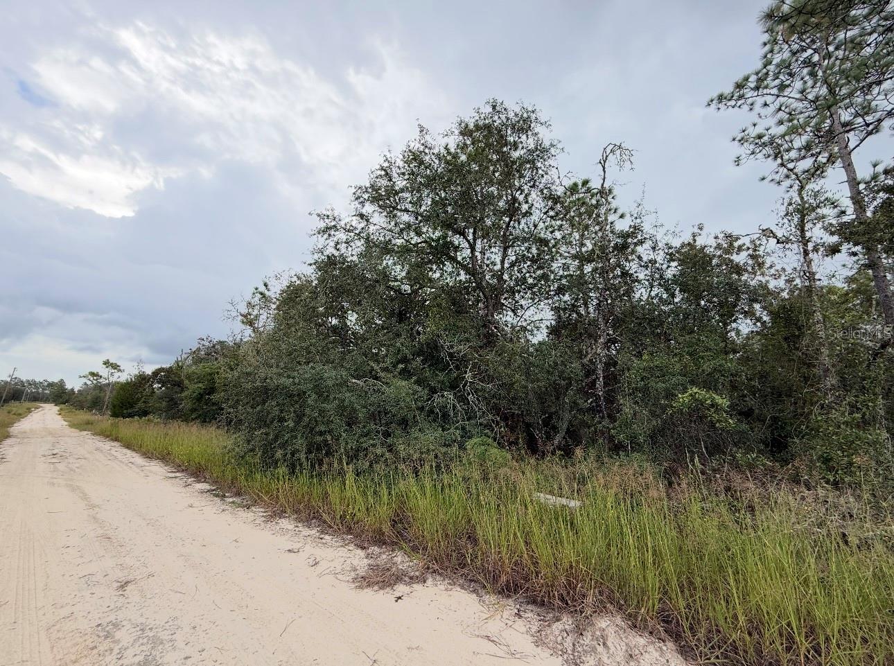 NE 66TH LANE, WILLISTON, FL, 32696