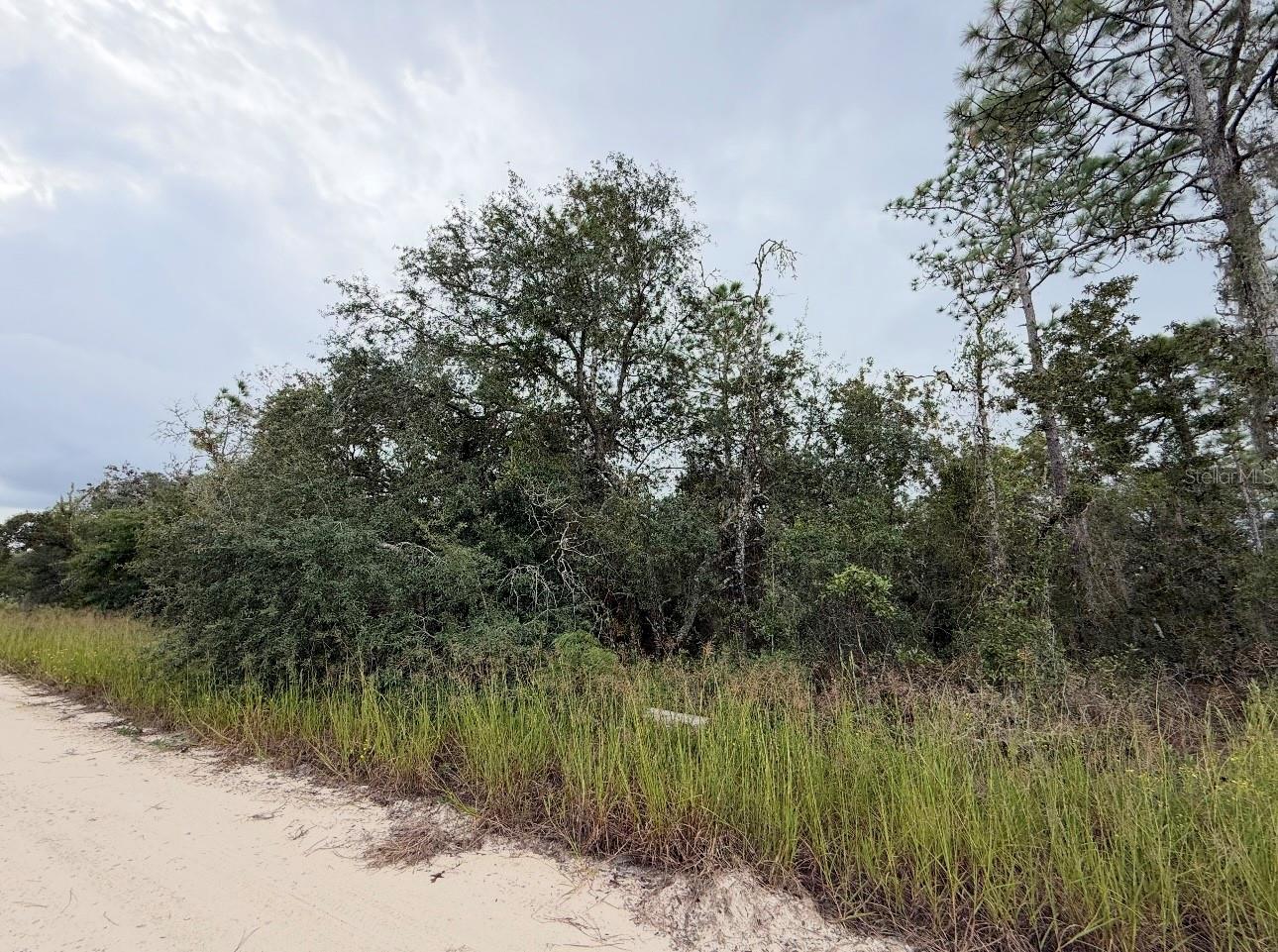 NE 66TH LANE, WILLISTON, FL, 32696