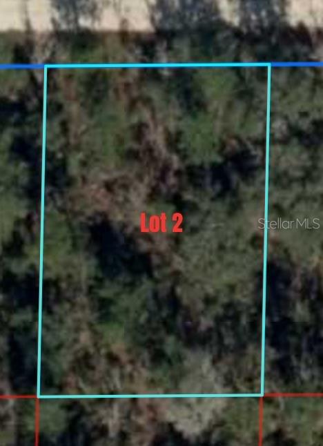 NE 66TH LANE, WILLISTON, FL, 32696