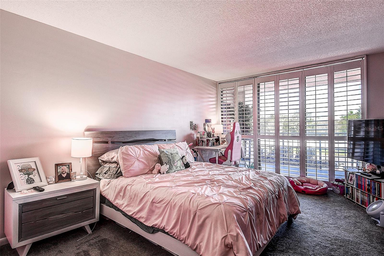 100 OAKMONT LN #209, BELLEAIR, FL, 33756