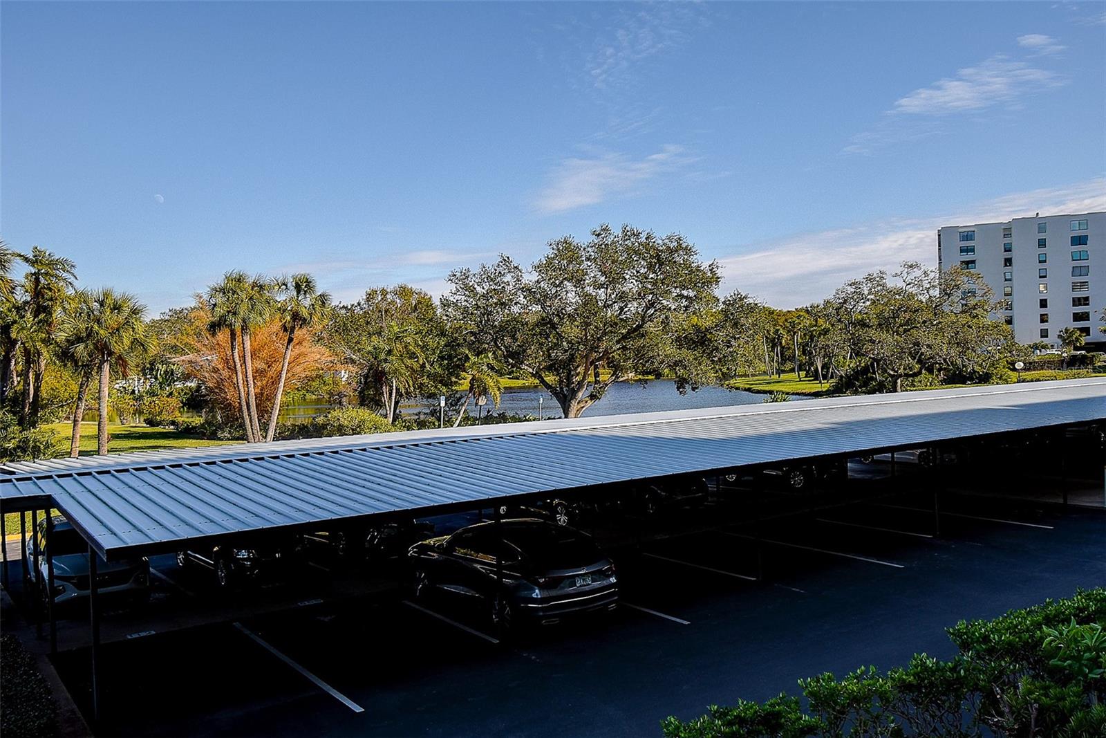 100 OAKMONT LN #209, BELLEAIR, FL, 33756