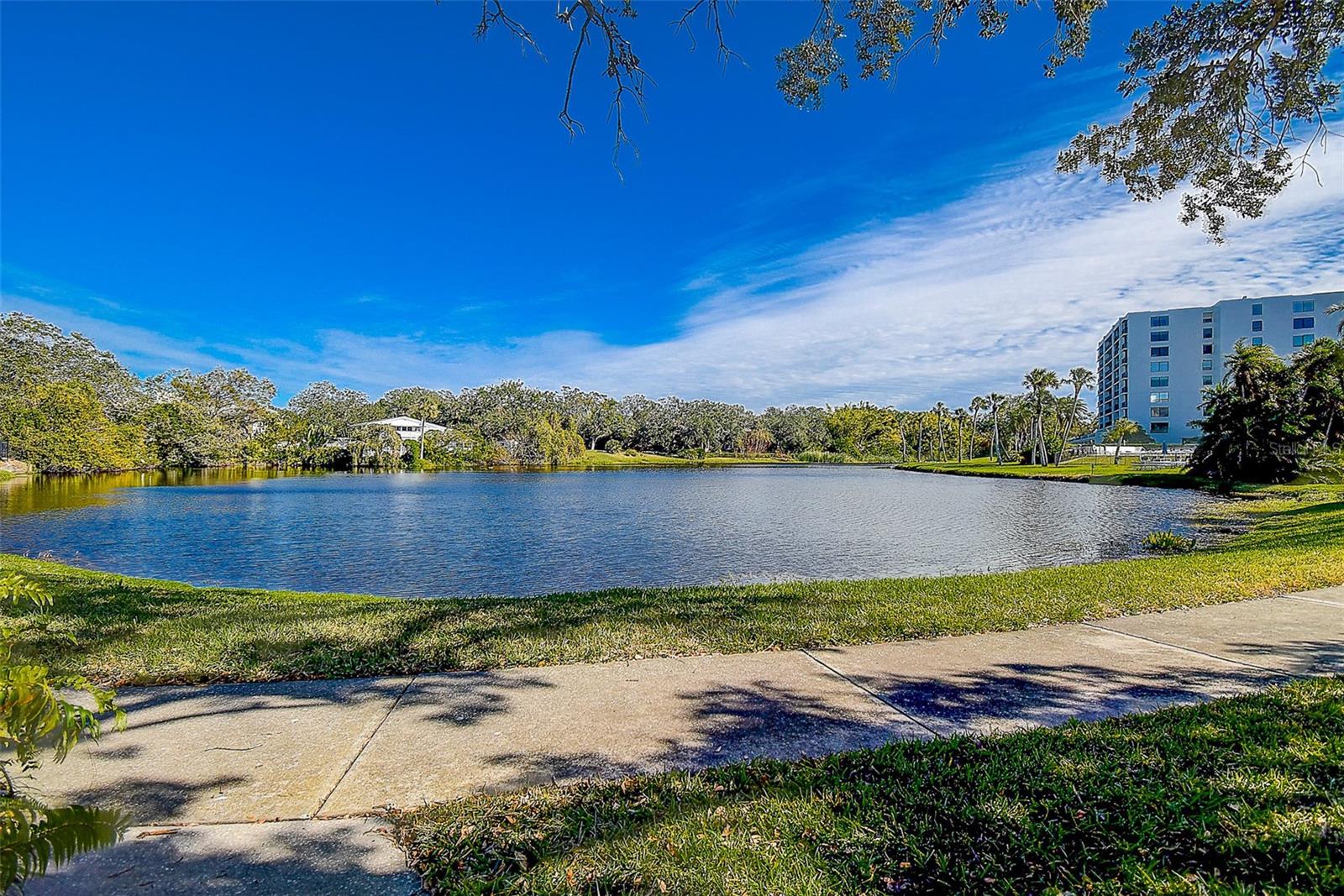 100 OAKMONT LN #209, BELLEAIR, FL, 33756