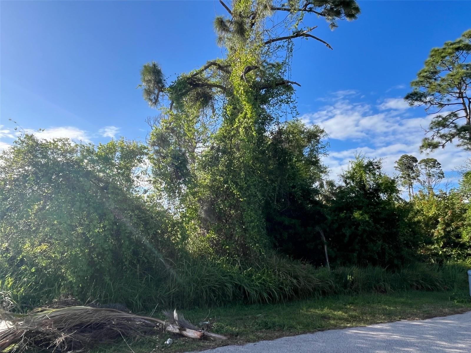 ZUYDER TER, NORTH PORT, FL, 34286