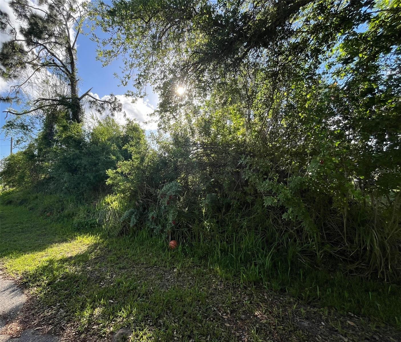 ZUYDER TER, NORTH PORT, FL, 34286
