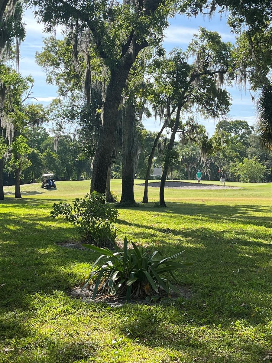 12810 WEDGEWOOD WAY ##A, HUDSON, FL, 34667
