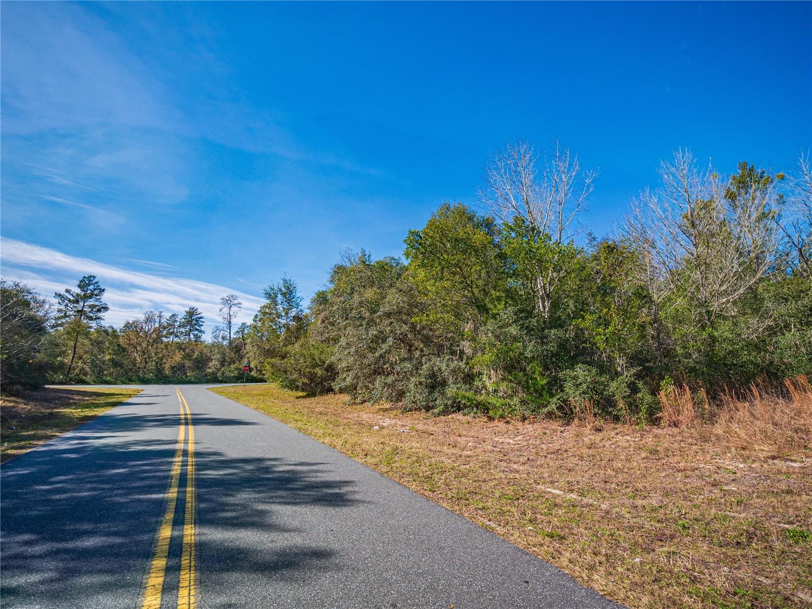 SW 36TH AVENUE ROAD - LOT 8, OCALA, FL, 34473