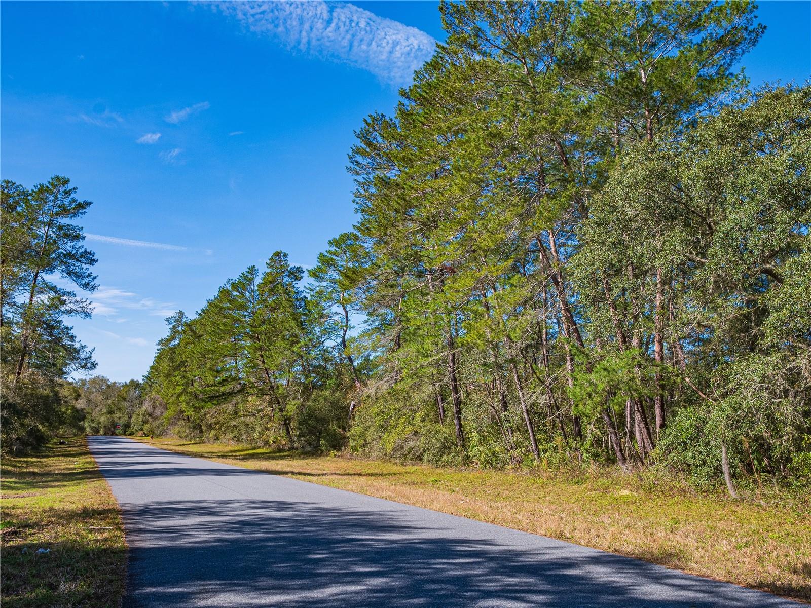 SW 36TH AVENUE ROAD - LOT 11, OCALA, FL, 34473