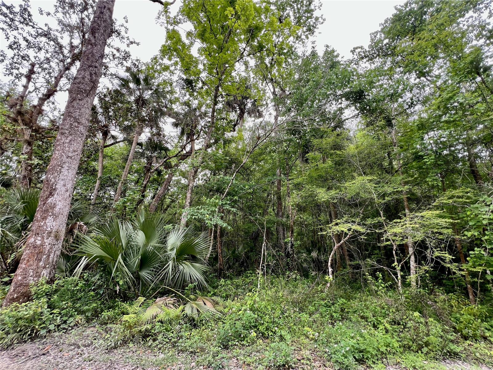 0 PATRICIA TRL, KISSIMMEE, FL, 34747