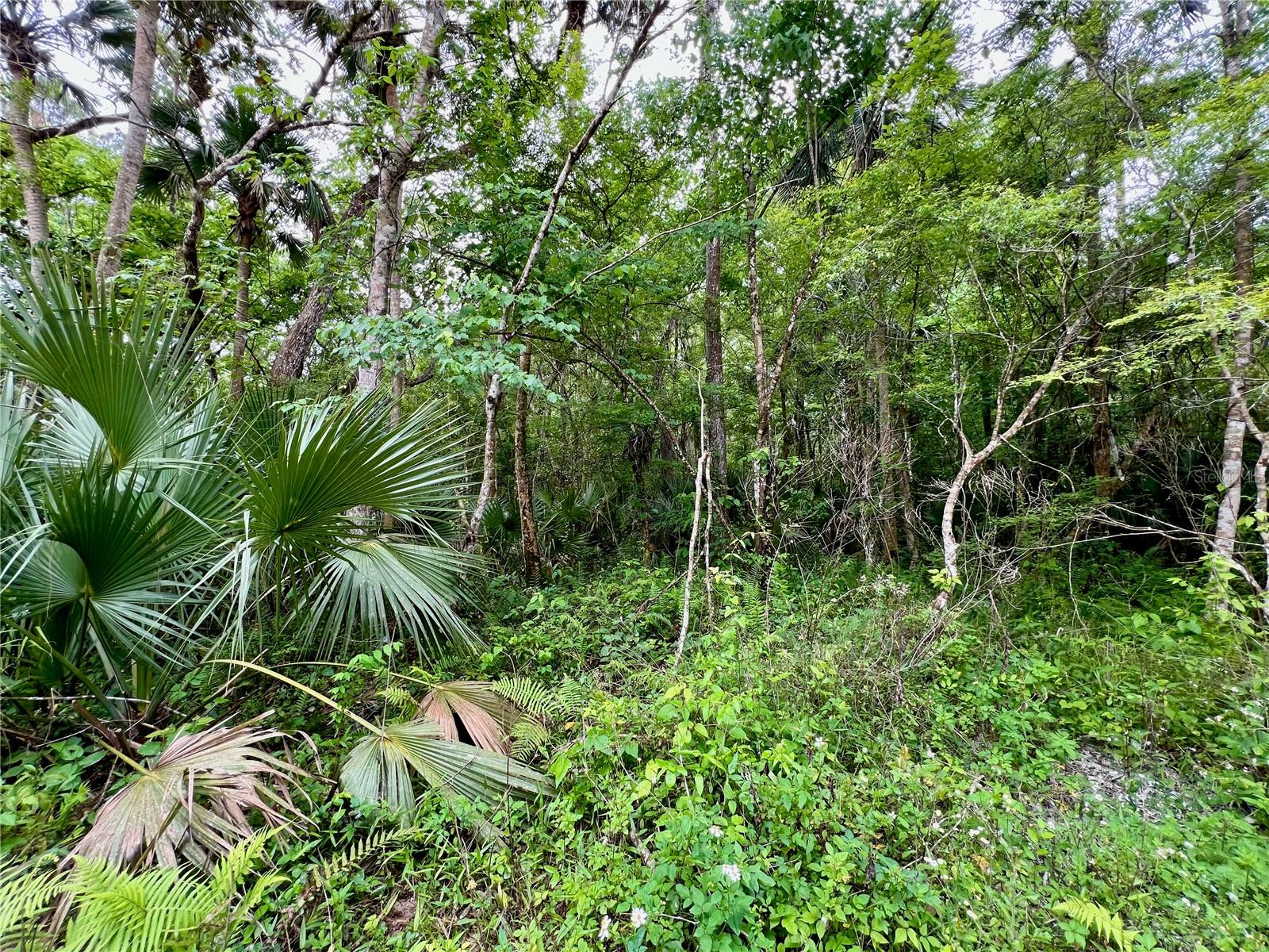 0 PATRICIA TRL, KISSIMMEE, FL, 34747