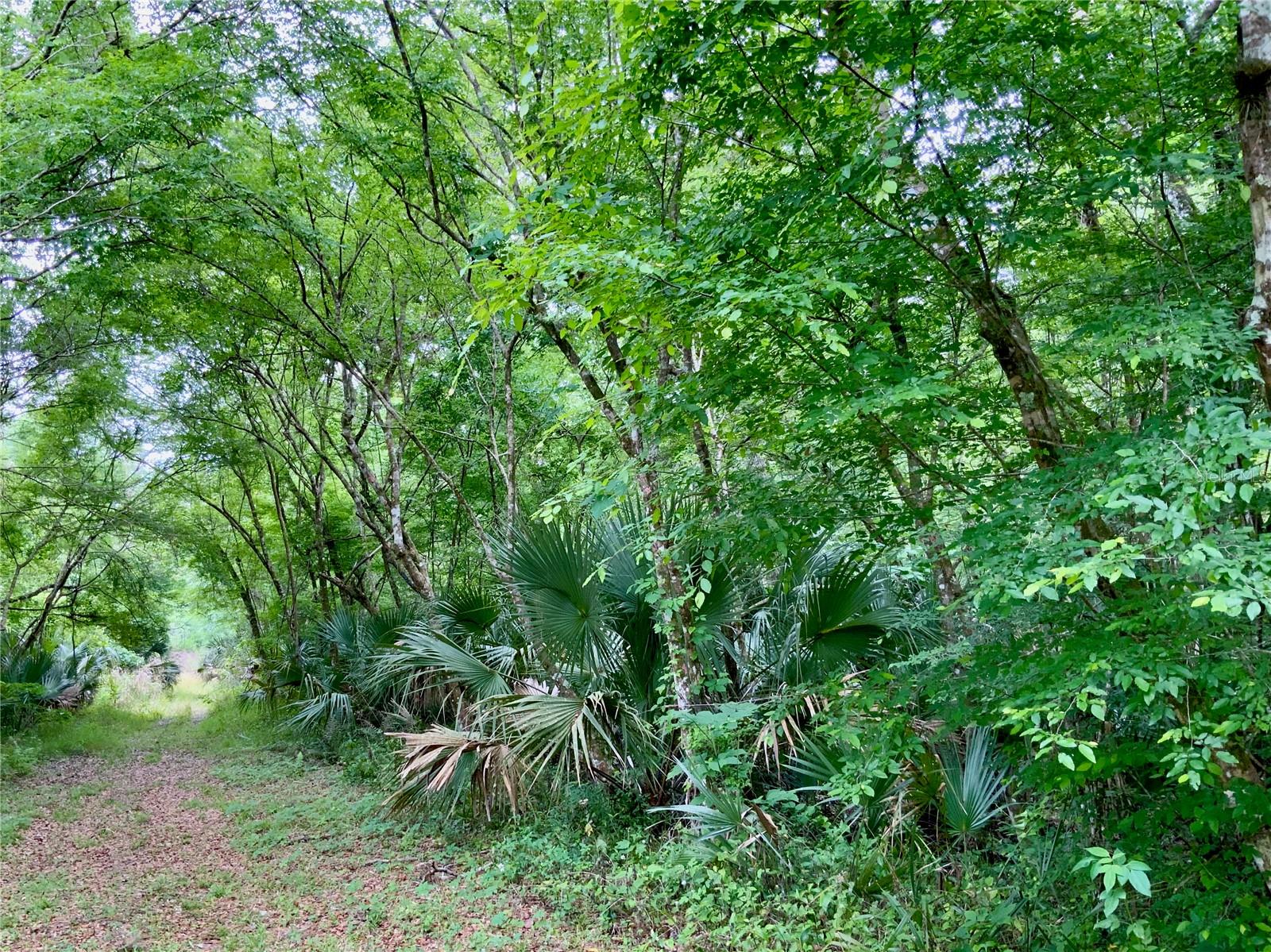 0 PATRICIA TRL, KISSIMMEE, FL, 34747
