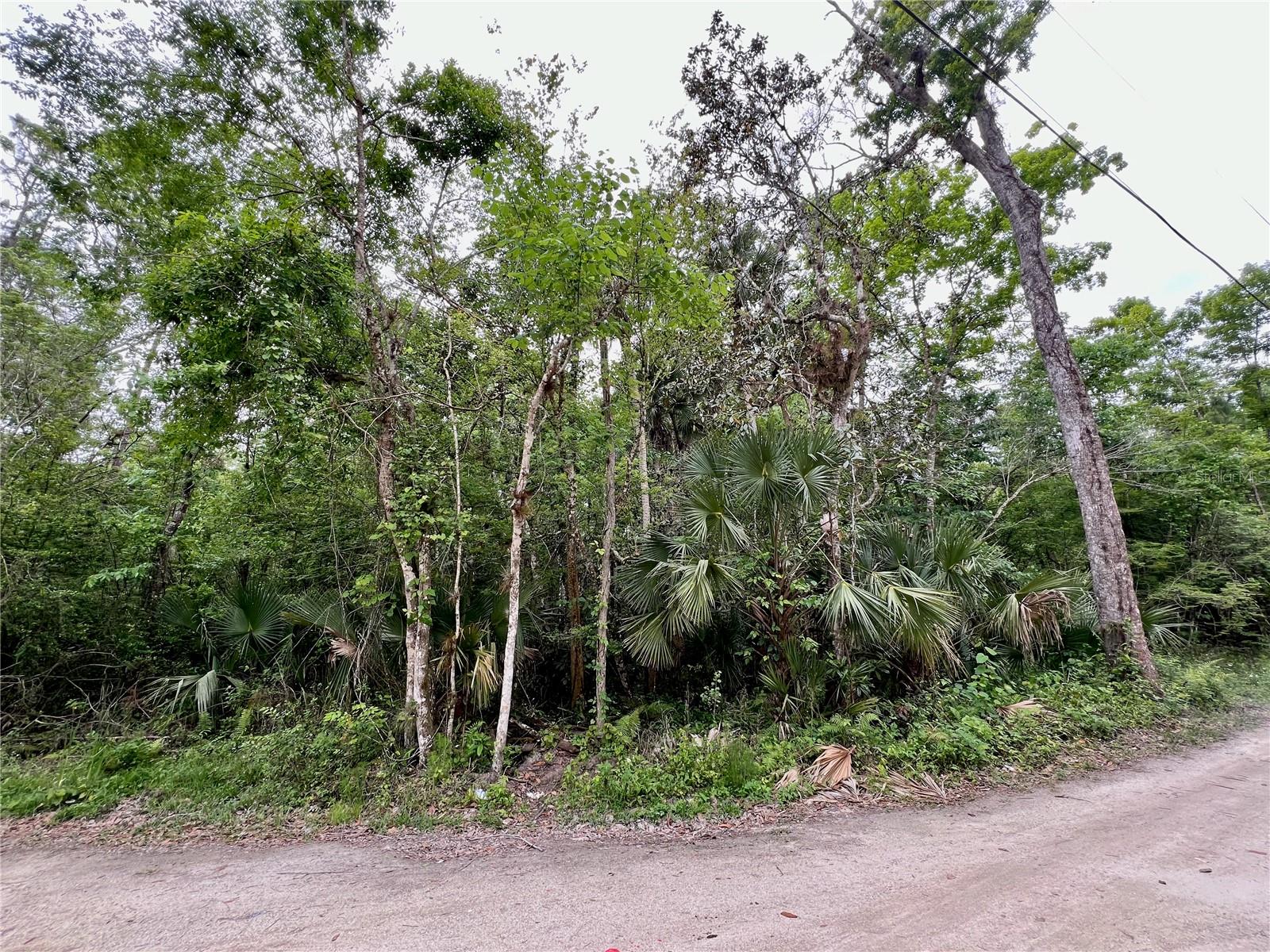 0 PATRICIA TRL, KISSIMMEE, FL, 34747