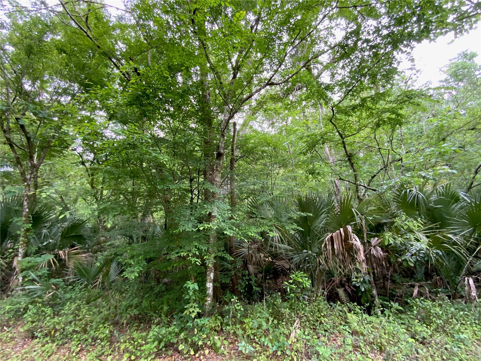 0 PATRICIA TRL, KISSIMMEE, FL, 34747